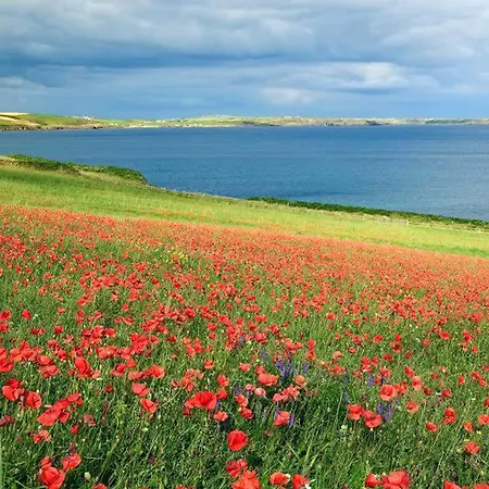 ホテル Courtmacsherry Hotel Courtmacsherry
