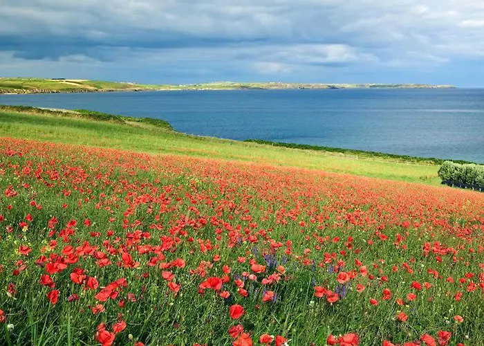 Отель Courtmacsherry Hotel Courtmacsherry